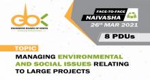 Managing Environmental and Social Issues Relating to Large Projects